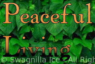 Peaceful Living